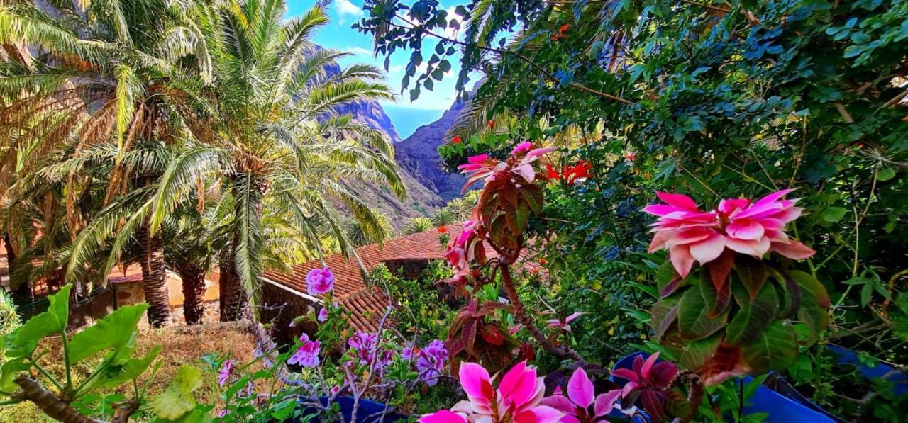 Ocean View Tenerife San Miguel de Abona Zewnętrze zdjęcie
